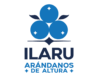 Ilaru